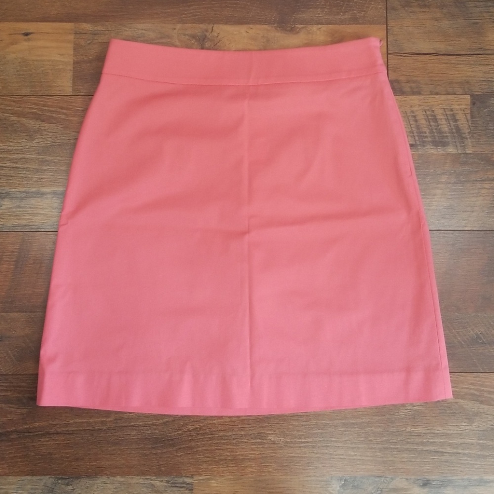 Ann Taylor skirt